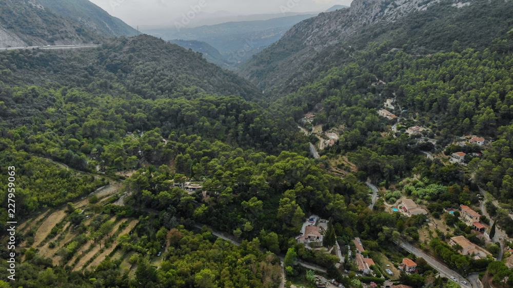 road forest  in mountain