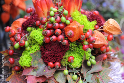 Rote Beeren  Herbststrau   mit Hagebutten und Physalis