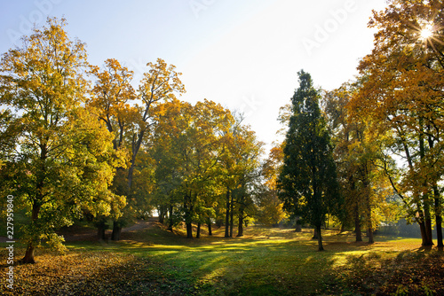Autumn landscape. Park in Krasny Dvur. Czech Republic.