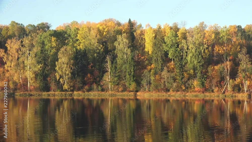 Autumn, is one of the four temperate seasons. One of its main features is the shedding of leaves from deciduous trees. Autumn, is one of the four temperate seasons. One of its main features is the shedding of leaves from deciduous trees.
