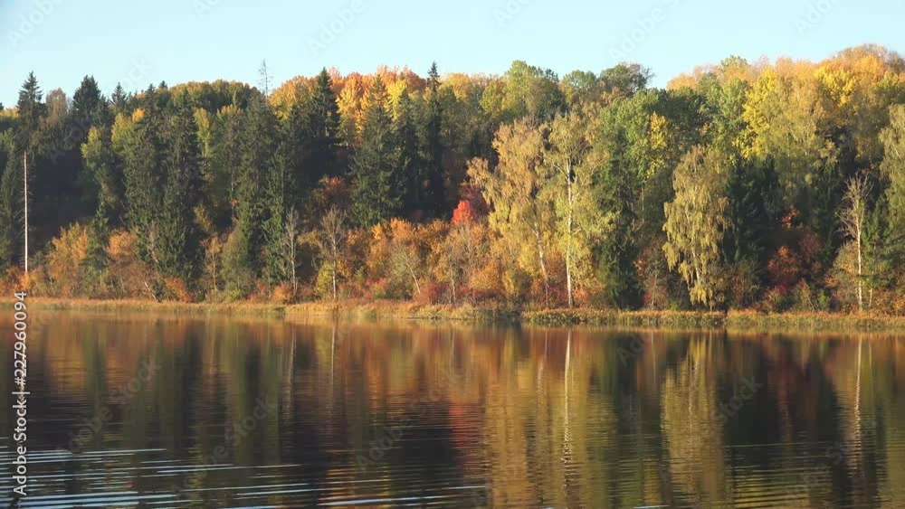 Autumn, is one of the four temperate seasons. One of its main features is the shedding of leaves from deciduous trees. Autumn, is one of the four temperate seasons. One of its main features is the shedding of leaves from deciduous trees.