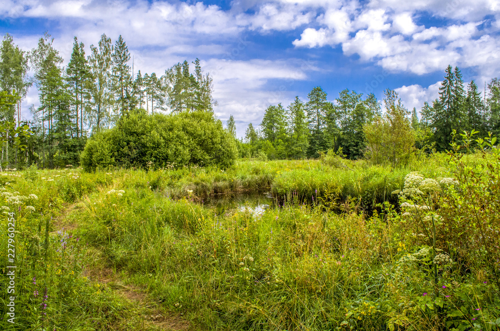 a small river in a big forest a small river in a big forest