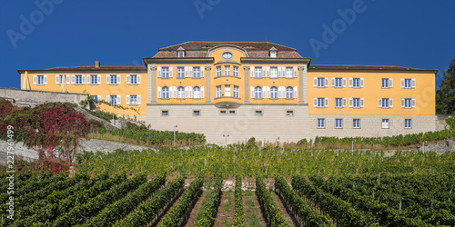 Droste-Hülshoff-Gymnasium sonnig entzerrt Meersburg photo