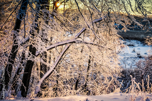 Sunset John Tkhe Woody betveen Tkhe trees Ying Winter period photo