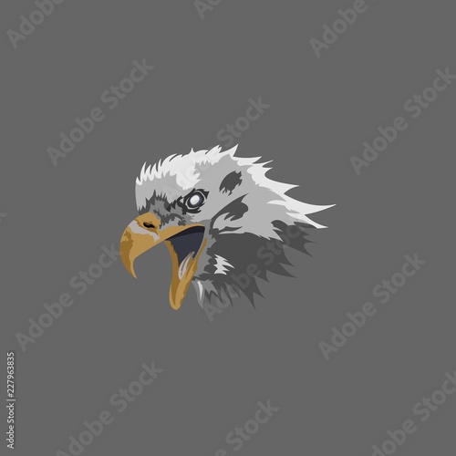 angry beast eagle face while hunting its prey vector logo design