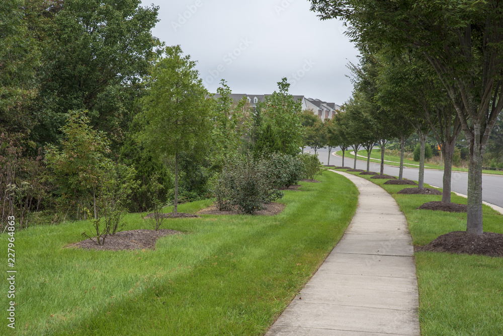 Walk way among green trees and grass. Cloudy, spring. Walk way among green trees and grass. Cloudy, spring.