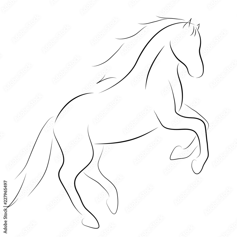 Fototapeta Czarna linia konia na białym tle. Ikona wektor