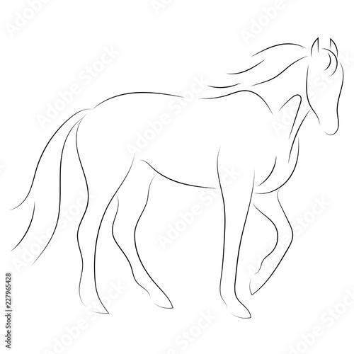 Black line horse on white background. Vector icon