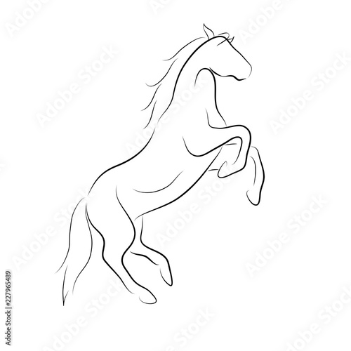 Black line horse on white background. Vector icon