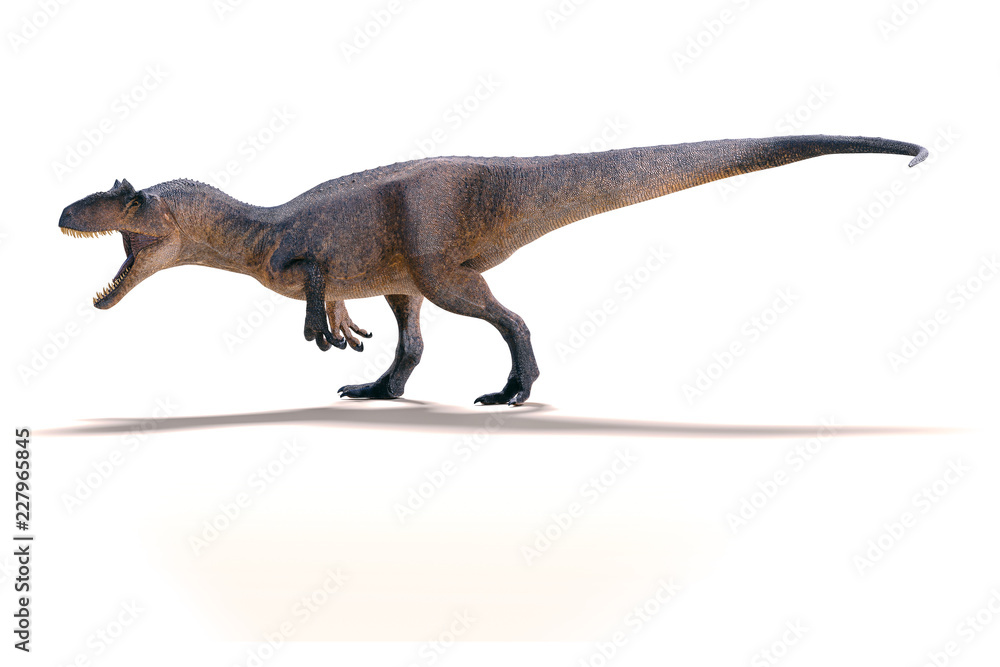 3d Allosaurus render on white background Stock Illustration | Adobe Stock