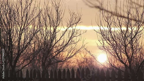 Wallpaper Mural Beautiful winter sunrise with trees in the snow. Torontodigital.ca