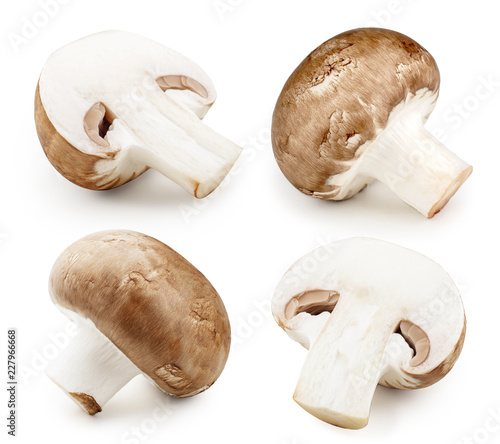 Champignon mushrooms close-up isolated on white background