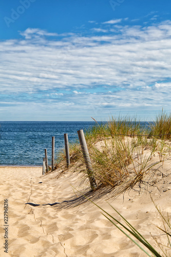 Dune at the Baltic Sea, Grass sand dune beach sea view