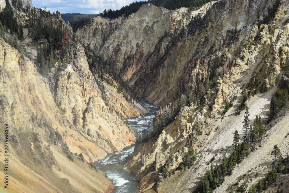 Canyon in Yellowstone National Park