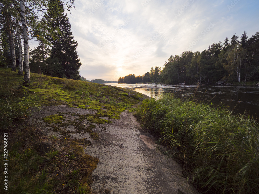 Forest river flow landscape Forest river flow landscape