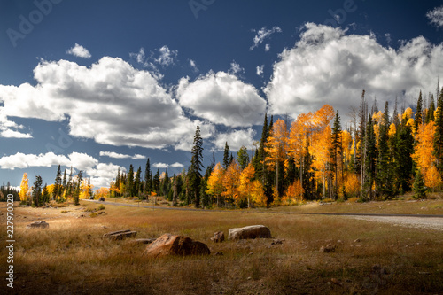 Stunning Autumn view of the highway  with incredible pine trees and fall foliage to Brian Head and Cedar breaks National Monument in Sothern Utah.
