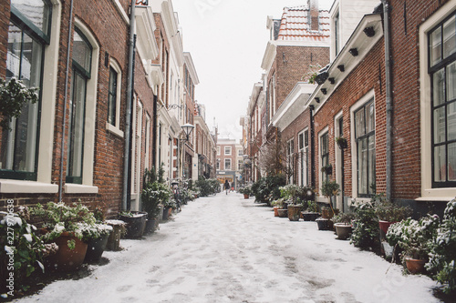 Photography Winter
