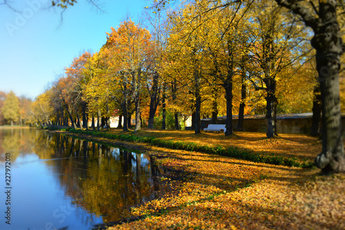 autumn in the park