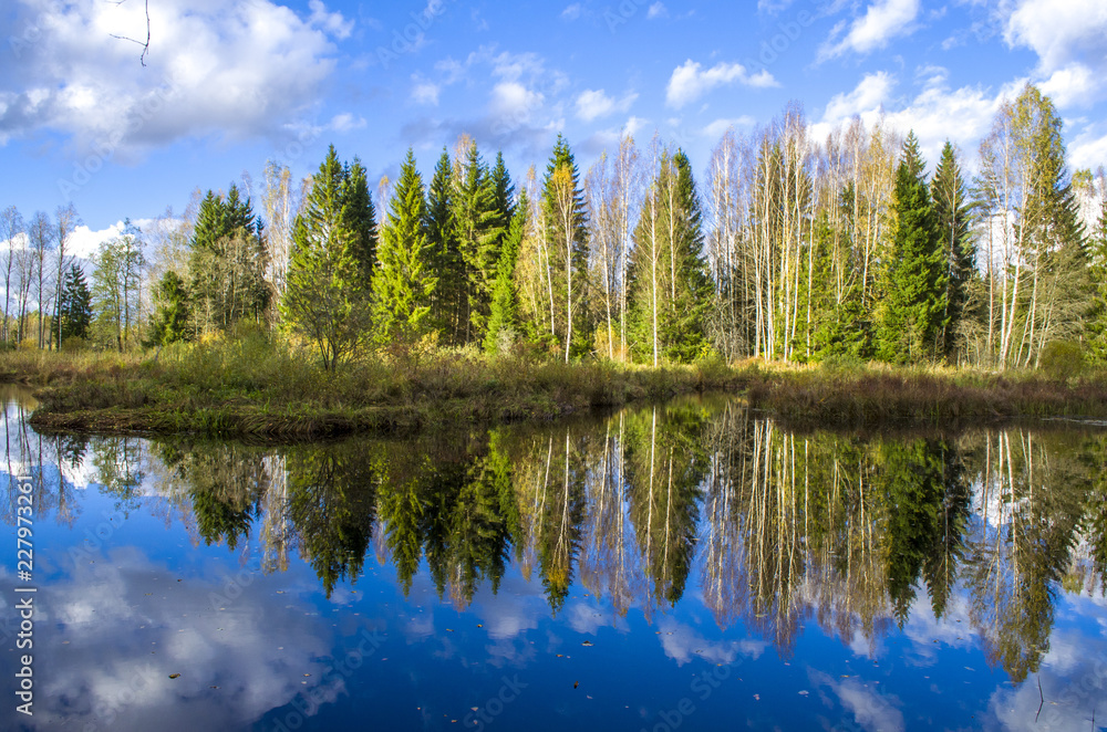 Reflection of forest and clouds in the river