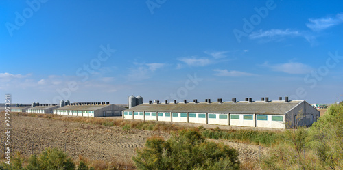 SEVERAL FARMS OF ANIMAL IN THE MIDDEL OF THE COUNTRY SIDE IN A SUNNY BLUE SKY 