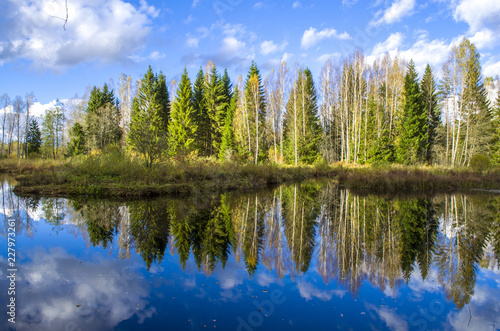 Reflection of forest and clouds in the river