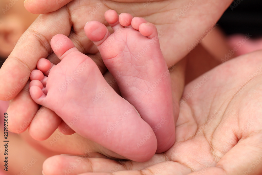 Close up of tiny feet of newborn baby Close up of tiny feet of newborn baby