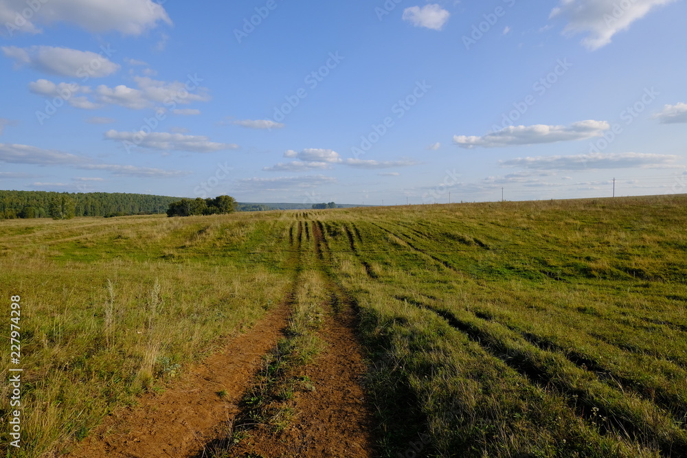 country road in the field