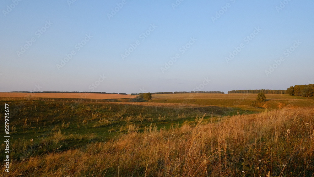 Obraz premium sunset over green field