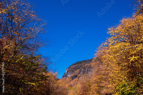 Autumn scene in Vermont mountains near Stowe