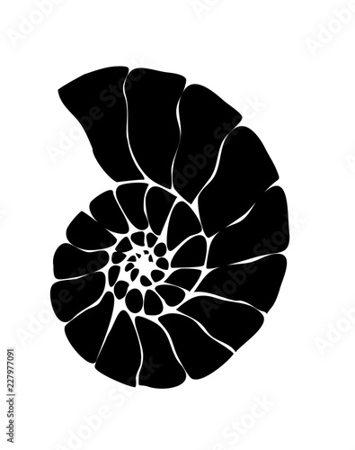 Logo Nautilus from triangles. Black and white nautilus shell striped tri cut. Vector illustration.