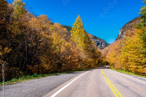 Road in autumn scene in Vermont mountains near Stowe © Guy