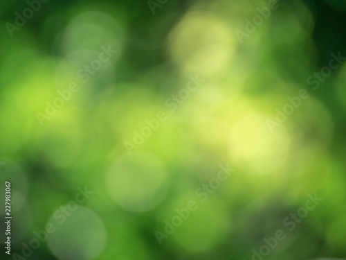 Green bokeh from light bushes in nature.