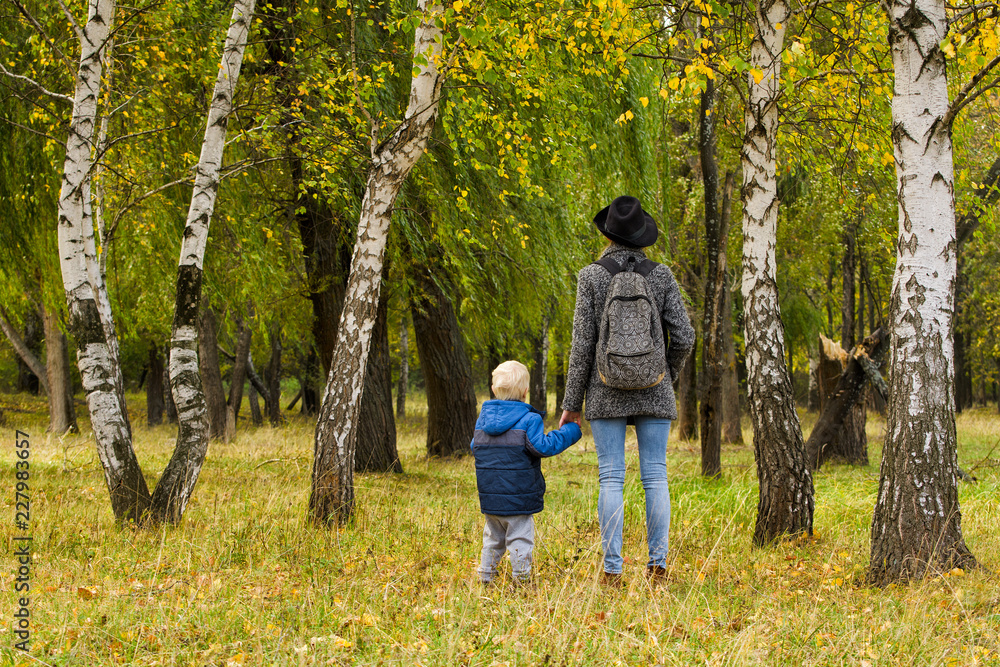 Mom and son are walking in the autumn forest. View from the back