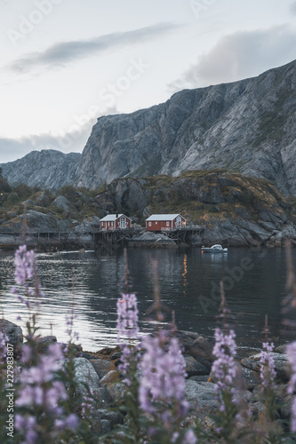 Cabins by the sea