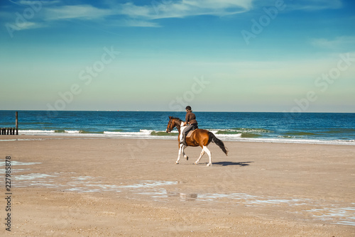 Pferd mit Reiter am Strand