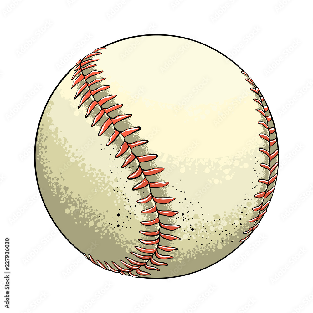 Hand drawn sketch baseball ball in color, isolated on white background.  Detailed drawing in the style of vintage. Vector illustration Stock Vector  | Adobe Stock