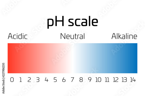 pH scale. Indicator of pH value expressing rate of acidity or basicity in chemistry.