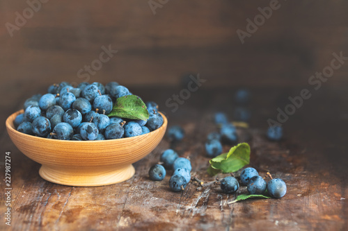 Autumn harvest blue sloe berries on a wooden table background. Copy space. Dark rustic style. Natural remedy