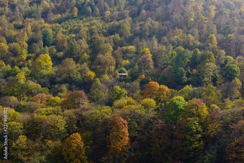 Fototapeta Naklejka Na Ścianę i Meble -  Beautiful autumn forest, Armenia