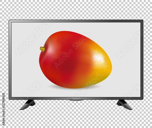 Tv led lcd screen vector illustration