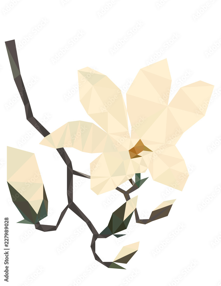 Naklejka premium Colorful polygonal style design of blossoming magnolia flower