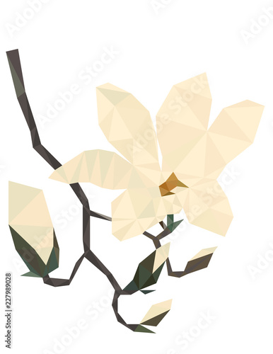 Colorful polygonal style design of blossoming magnolia flower