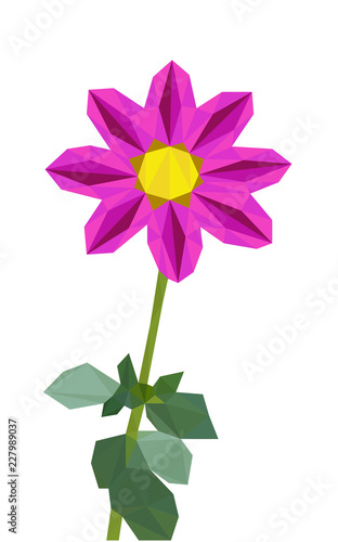 Fototapeta Naklejka Na Ścianę i Meble -  Colorful polygonal style design of blooming pink dahlia flower