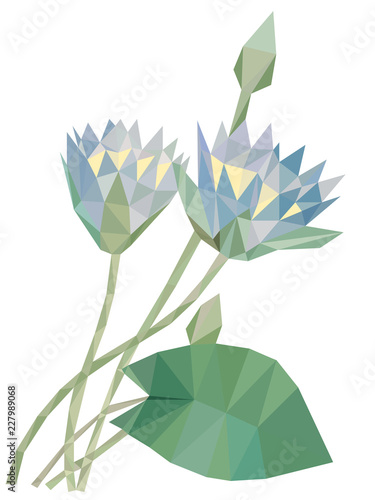 Colorful polygonal style design of blossoming dusty blue flower
