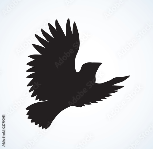 Vector drawing. Small titmouse