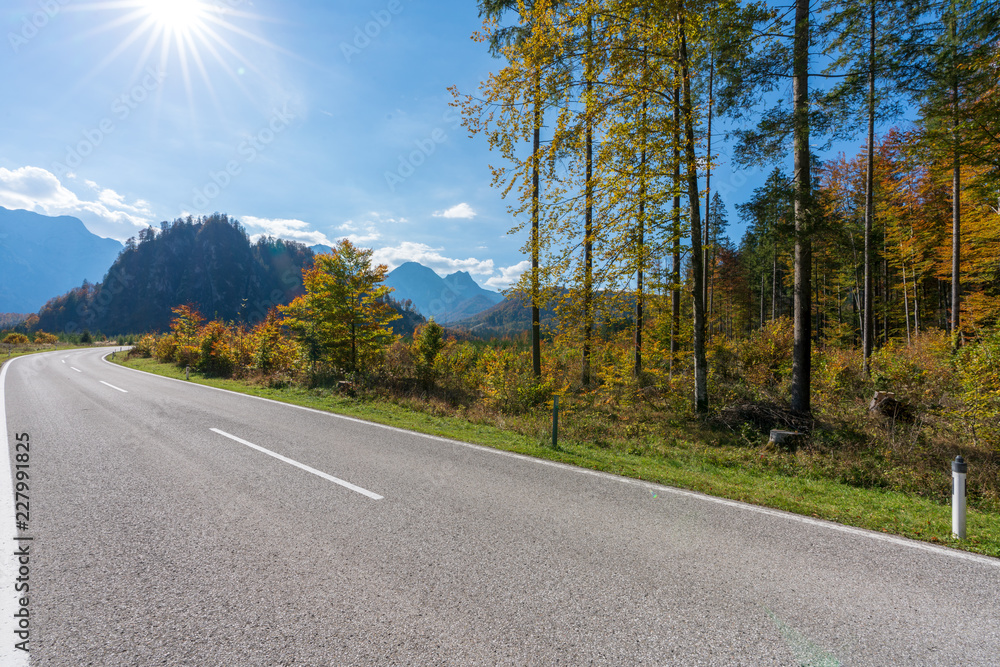 Naklejka premium Landstraße im herbstlichen Wald