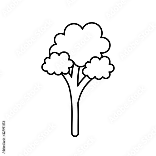 tree plant isolated icon