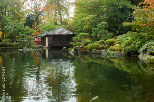 Autumn. Yellow leaves. Japanese Maple. Japanese garden. Kaiserslautern