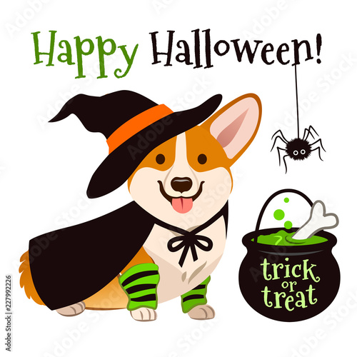 Halloween corgi puppy dog wearing witch costume with black hat and cape, cauldron brewing bubbling green potion vector cartoon illustration isolated on white. Funny cute pet Happy Halloween theme.