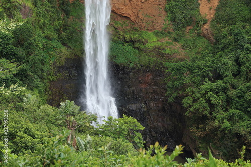 A waterfall over lush vegetation